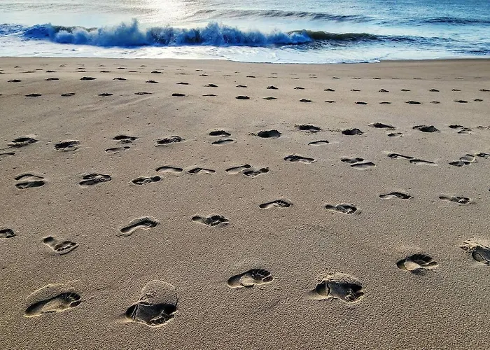 Oceanside Haven -steps To Sand-indoor Pool-game Rm Ocean City